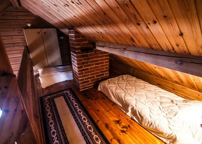 Loma Rinteelae Suonenvaara